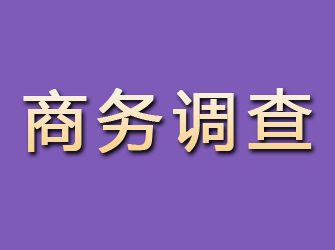 东宁商务调查